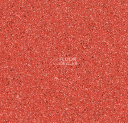 Линолеум Forbo Eternal Original 61792 фото 1 | FLOORDEALER