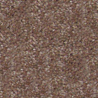 Hidden Treasure Beaulie of America Rich Taupe 05 фото 1 | FLOORDEALER