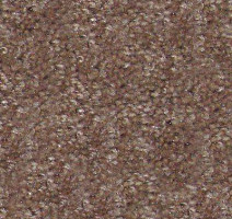 Ковролин Hidden Treasure Beaulie of America Rich Taupe 05 фото 1 | FLOORDEALER