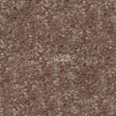 Ковролин Hidden Treasure Beaulie of America Rich Taupe 05 фото 1 | FLOORDEALER