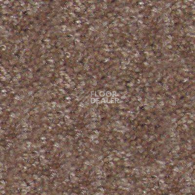 Ковролин Hidden Treasure Beaulie of America Rich Taupe 05 фото 1 | FLOORDEALER