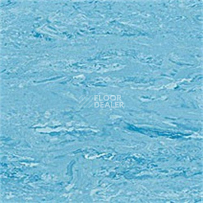 Линолеум Polyflor 2000 Pur 8450 фото 1 | FLOORDEALER