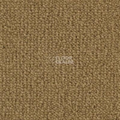 Ковролин Balsan Luxe 653 фото 1 | FLOORDEALER