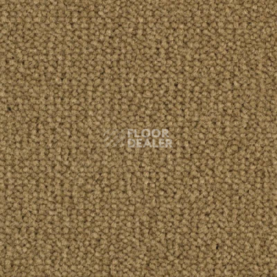 Ковролин Balsan Luxe 653 фото 1 | FLOORDEALER