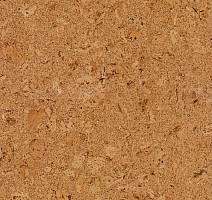 Пробковое покрытие Cork Go C824001   Captivation фото 1 | FLOORDEALER