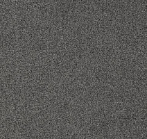 Ковролин Gleam W2W 847 Gleam w2w фото 1 | FLOORDEALER