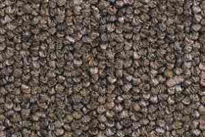 Ковролин Balsan Santa Fe DD Santa Fe dd 790 фото  | FLOORDEALER