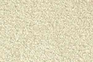 Ковролин Girloon Standard 860 фото  | FLOORDEALER