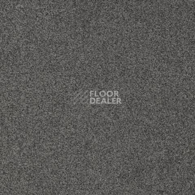 Ковролин Gleam W2W 847 Gleam w2w фото 1 | FLOORDEALER