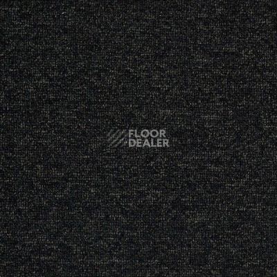 Ковролин Big  Studio 161 фото 1 | FLOORDEALER