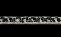 Galaxy F 007 фото 4 | FLOORDEALER