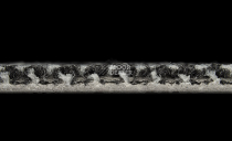 Galaxy F 007 фото 4 | FLOORDEALER