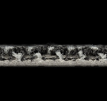 Galaxy F 007 фото 4 | FLOORDEALER