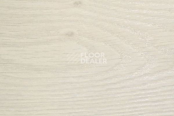 Ламинат Clix Floor Charm Дуб Полар CXC157 фото 1 | FLOORDEALER