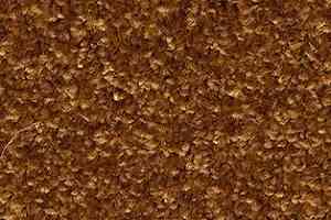 Ковролин AW Gaia Meridia 80 фото  | FLOORDEALER