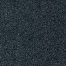 Ковролин Gleam W2W 569 Gleam w2w фото 1 | FLOORDEALER