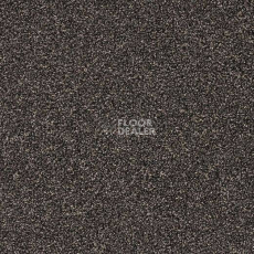 Ковролин Lano Pembridge Healthers 810 фото 1 | FLOORDEALER