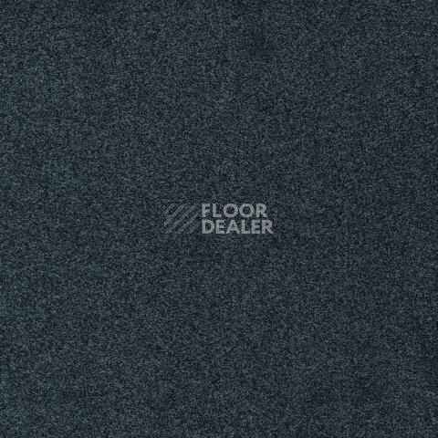Ковролин Gleam W2W 569 Gleam w2w фото 1 | FLOORDEALER