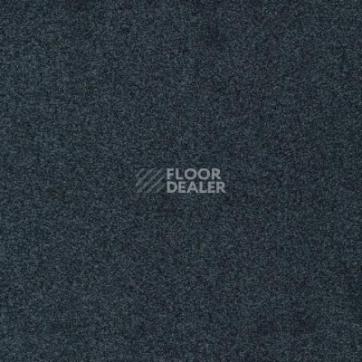 Ковролин Gleam W2W 569 Gleam w2w фото 1 | FLOORDEALER
