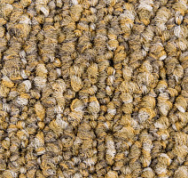 Desso Recharge ac 41 2024 фото 5 | FLOORDEALER