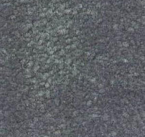 Ковролин Shaw Bradberry 30 667 фото 1 | FLOORDEALER