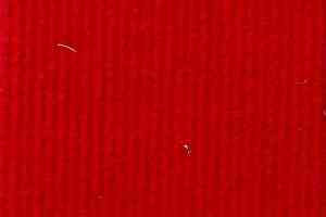 Ковролин ФлорТ Экспо 02004 Красный фото  | FLOORDEALER