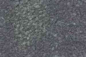 Ковролин Shaw Bradberry 30 667 фото  | FLOORDEALER