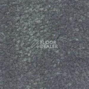 Ковролин Shaw Bradberry 30 667 фото 1 | FLOORDEALER