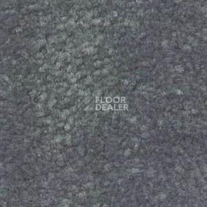 Ковролин Shaw Bradberry 30 667 фото 1 | FLOORDEALER