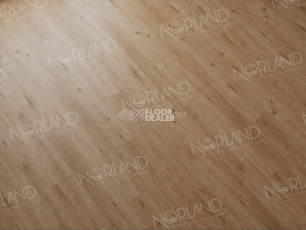 Norland Sigrid  LVT 2мм Abbi 1003-1 фото 2 | FLOORDEALER