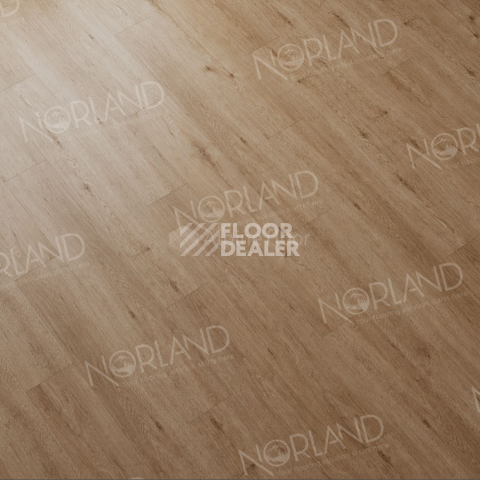 Norland Sigrid  LVT 2мм Abbi 1003-1 фото 2 | FLOORDEALER