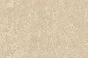 Линолеум Forbo Marmoleum Marbled Real 2499 Sand фото  | FLOORDEALER