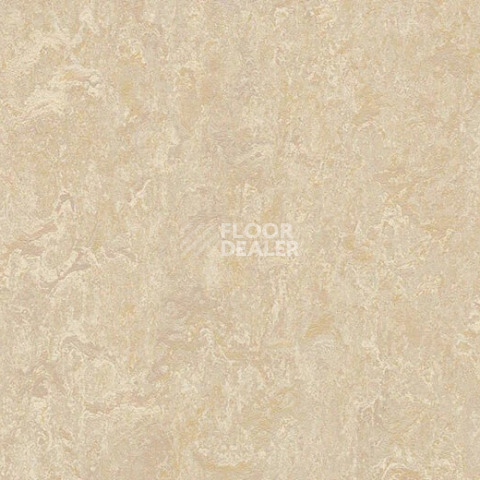 Линолеум Forbo Marmoleum Marbled Real 2499 Sand фото 1 | FLOORDEALER