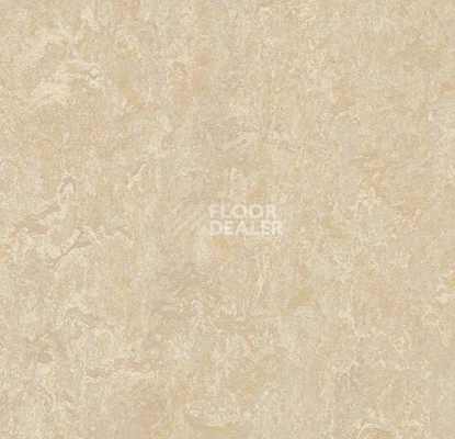 Линолеум Forbo Marmoleum Marbled Real 2499 Sand фото 1 | FLOORDEALER