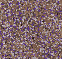 Ковровая плитка Halbmond Tiles & More 4 tm 4-047-02 фото 1 | FLOORDEALER