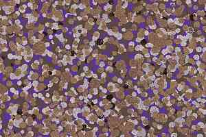 Ковровая плитка Halbmond Tiles & More 4 tm 4-047-02 фото  | FLOORDEALER