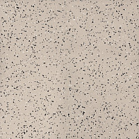 Линолеум Tarkett iq Era sc 804 фото 1 | FLOORDEALER