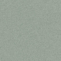 Линолеум Tarkett Primo Plus 311 фото 1 | FLOORDEALER