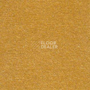 Ковролин AW Energy 54 фото 1 | FLOORDEALER