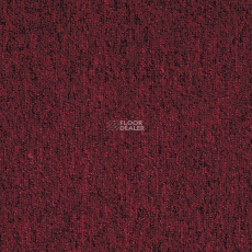 AW Medusa 11 фото 1 | FLOORDEALER