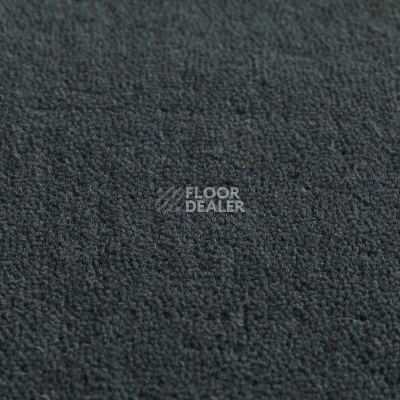 Ковролин Jacaranda Carpets Jaspur Woad фото 1 | FLOORDEALER