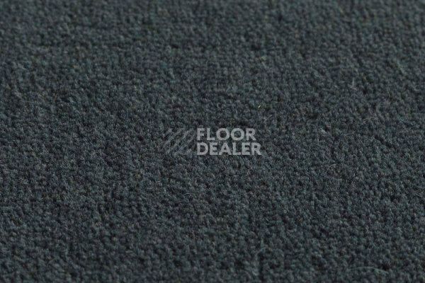 Ковролин Jacaranda Carpets Jaspur Woad фото 1 | FLOORDEALER