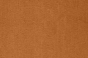 Ковролин Balta ITC Prominent 54 фото  | FLOORDEALER