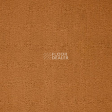 Ковролин Balta ITC Prominent 54 фото 1 | FLOORDEALER