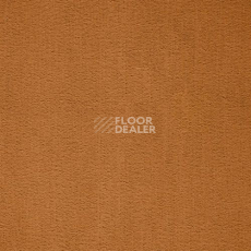 Ковролин Balta ITC Prominent 54 фото 1 | FLOORDEALER