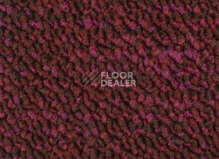 Desso Desert 4118 фото 2 | FLOORDEALER