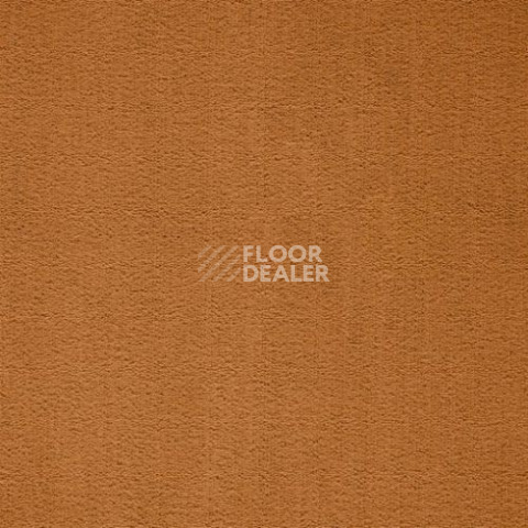 Ковролин Balta ITC Prominent 54 фото 1 | FLOORDEALER