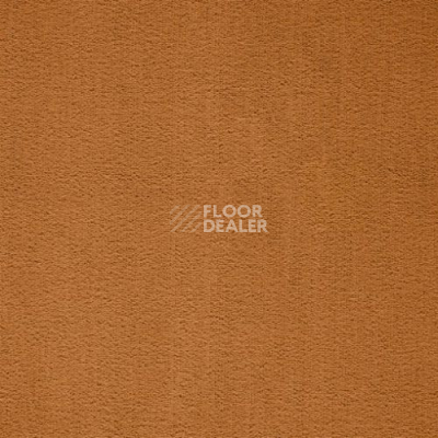 Ковролин Balta ITC Prominent 54 фото 1 | FLOORDEALER