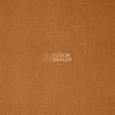 Ковролин Balta ITC Prominent 54 фото 1 | FLOORDEALER