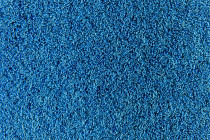 Flotex Colour s 482011 Penang Sapphire фото 2 | FLOORDEALER